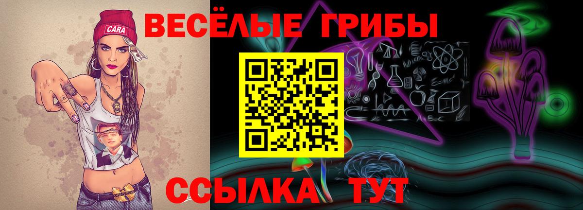 Галлюциногенные грибы ЛСД  Вход с VPN  хочу   Кохма 